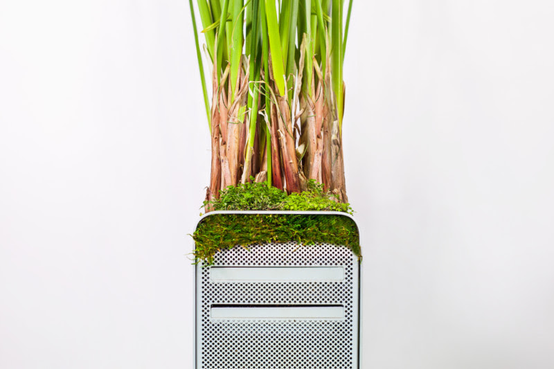 plant_your_mac_macpyrus_monsieur_plant_2016_2