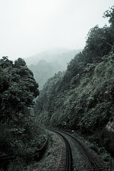 a beautiful track