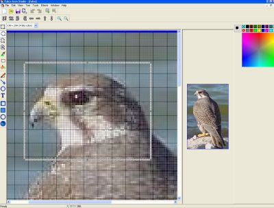 http://www.gif-bilder.de/weblog/wp-content/uploads/2008/04/falcoiconstudio.jpg