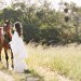 Olive Hill Inspiration