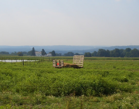 The New Wilmington, PA Amish community numbers 19 church districts ...