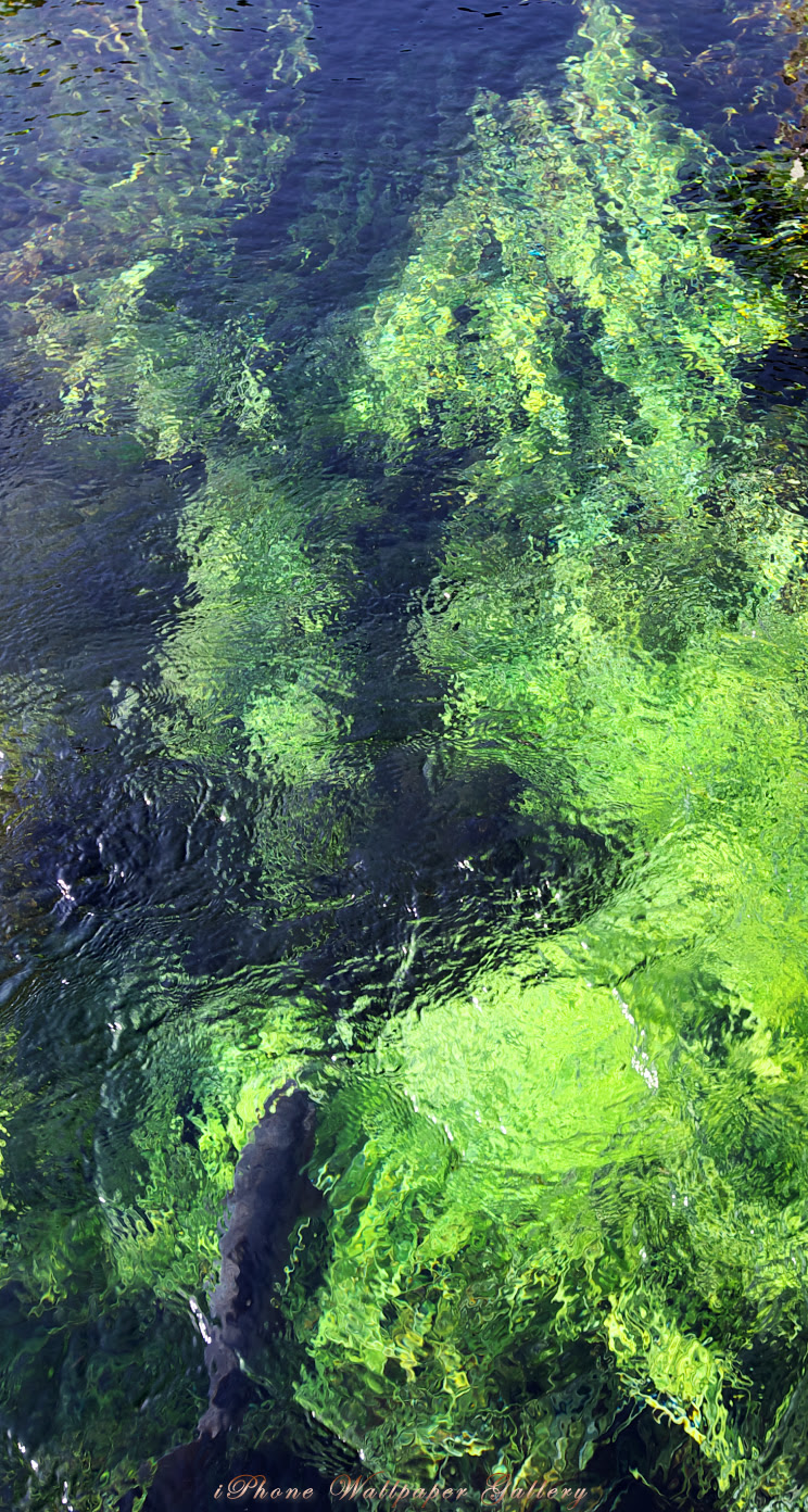 Iphone5 壁紙館 富士五湖 伏流水 Iphone Wallpaper Lake District