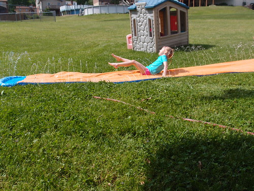 P5311762.JPG