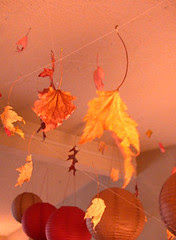 Fall ceiling