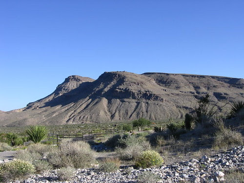 View from nature walk