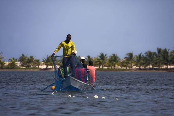 Photograph of Fishermen putting nets in the Volta river - Ghana - Africa