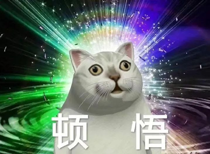 授课过程中突然隐身的老师 忘了有没有开麦的同学 大学网课欢乐多