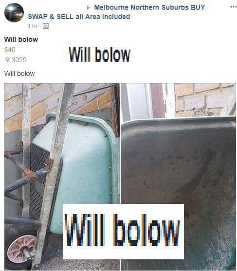 Everyone's favorite person, Will Bolow: