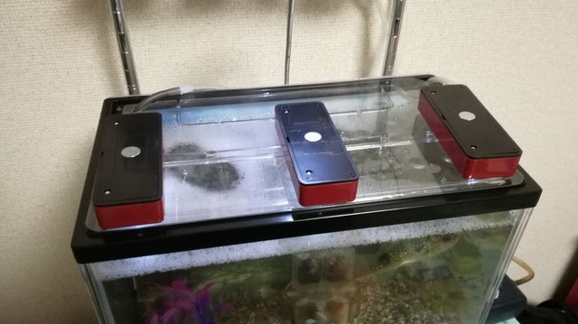 100均で準備 水槽設備を整えてみました アクアリウム 蒼葉 S ブログ 海釣り ゲーム実況 Youtube