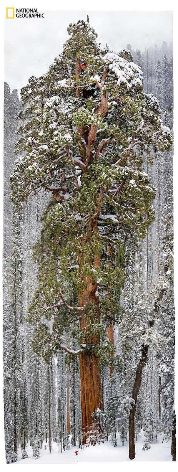 anapnoes.gr : national geographic fwtografies epeteiakou teuxous 08 Οι 9 κορυφαίες φωτογραφίες όλων των εποχών του National Geographic