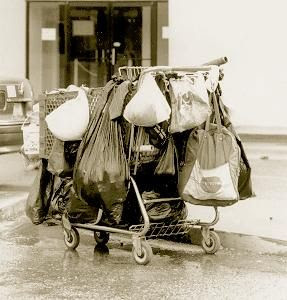 stolen shoppimg carts Pictures, Images and Photos