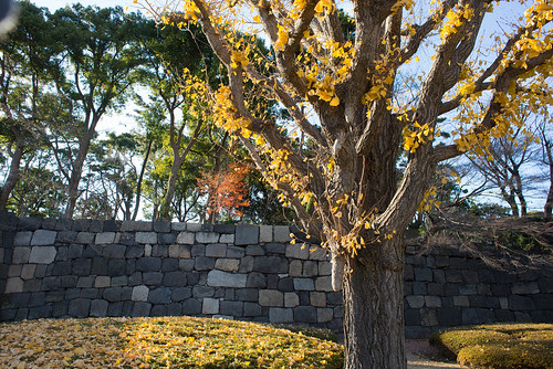 Imperial Palace East Gardens