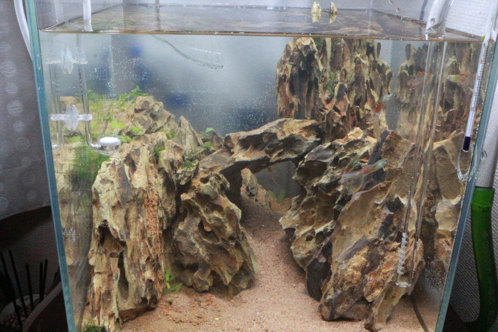 アクアリウム 初心者でも簡単 30cmキューブ山岳レイアウト 1 Let It Beeshrimp
