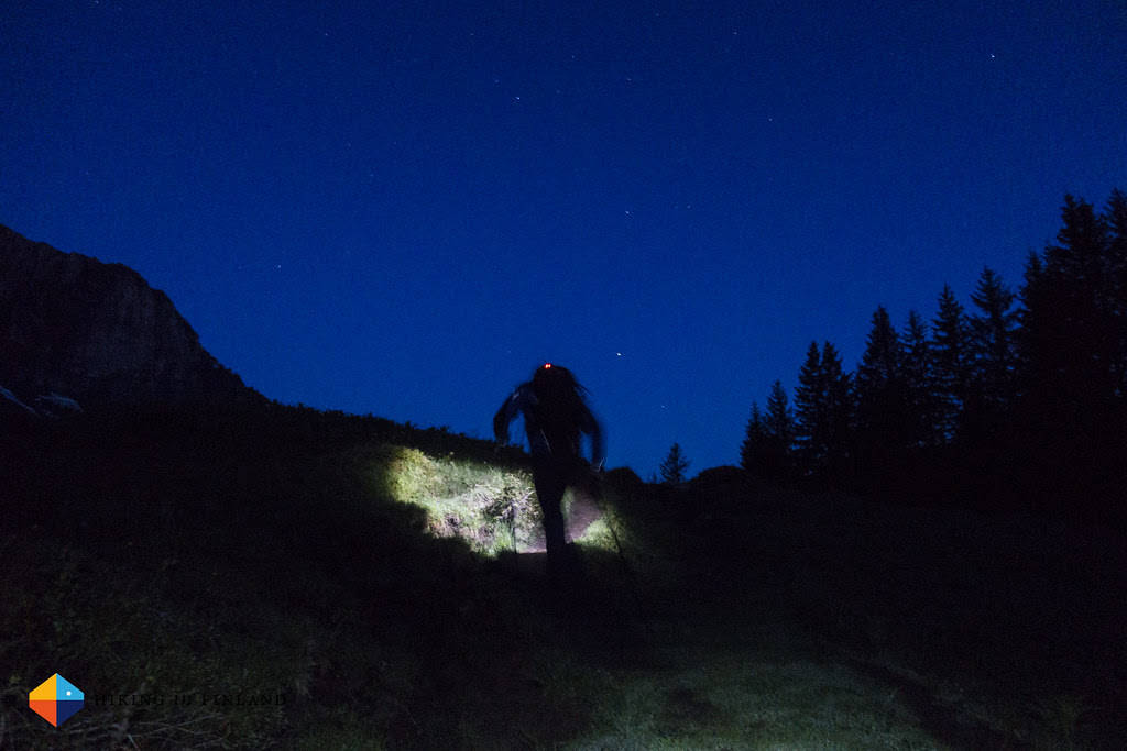 Up in the light