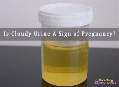  pregnant early pregnancy urine color pregnancy test