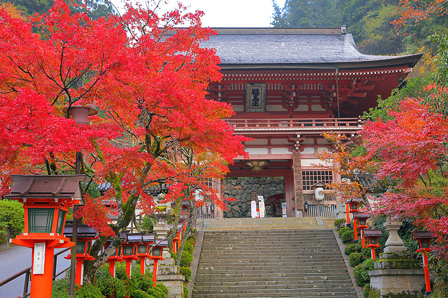 人気ダウンロード 鞍馬寺紅葉 制限なしで画像をダウンロードする