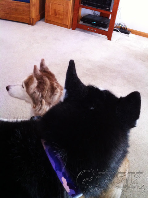 IMG_4766 Zim and Dave