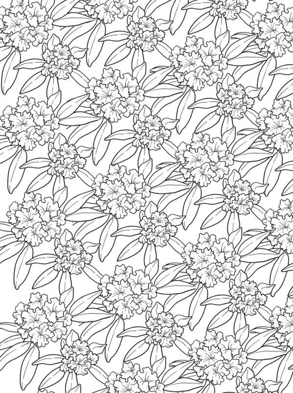 Kids-n-fun | Kleurplaat Bloemen voor volwassenen Bloemen ...