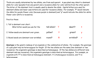 Introduction To Genetics Worksheet