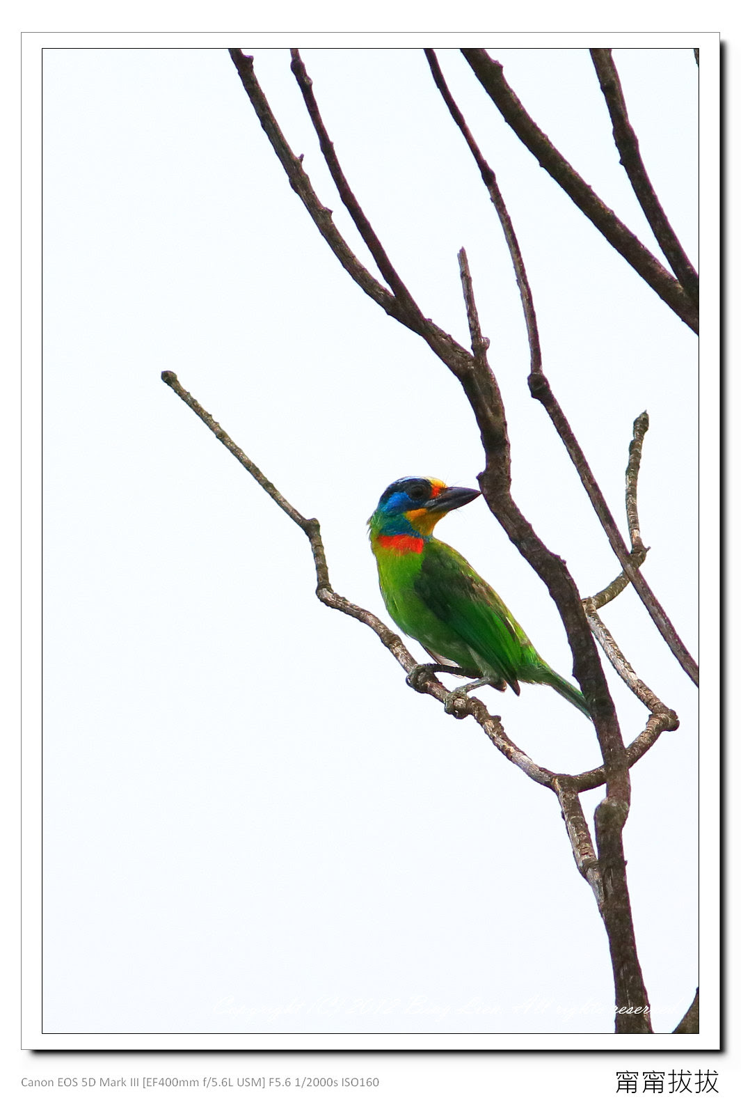 frame_BING2340