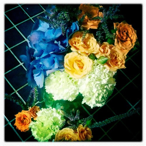 Baby Bertorelli Flowers