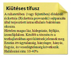 ktifusz.png