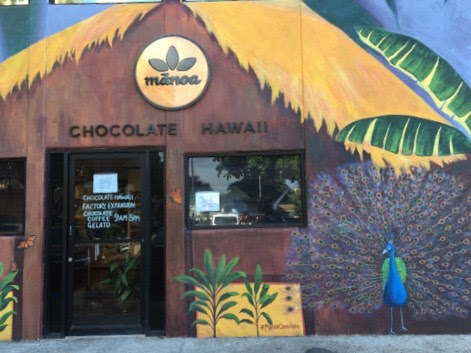 女子 カップル 家族ハワイ ハワイの外せない観光地を1日で全部回るモデルプラン Kaukau ハワイのお得なクーポン 予約ならカウカウ