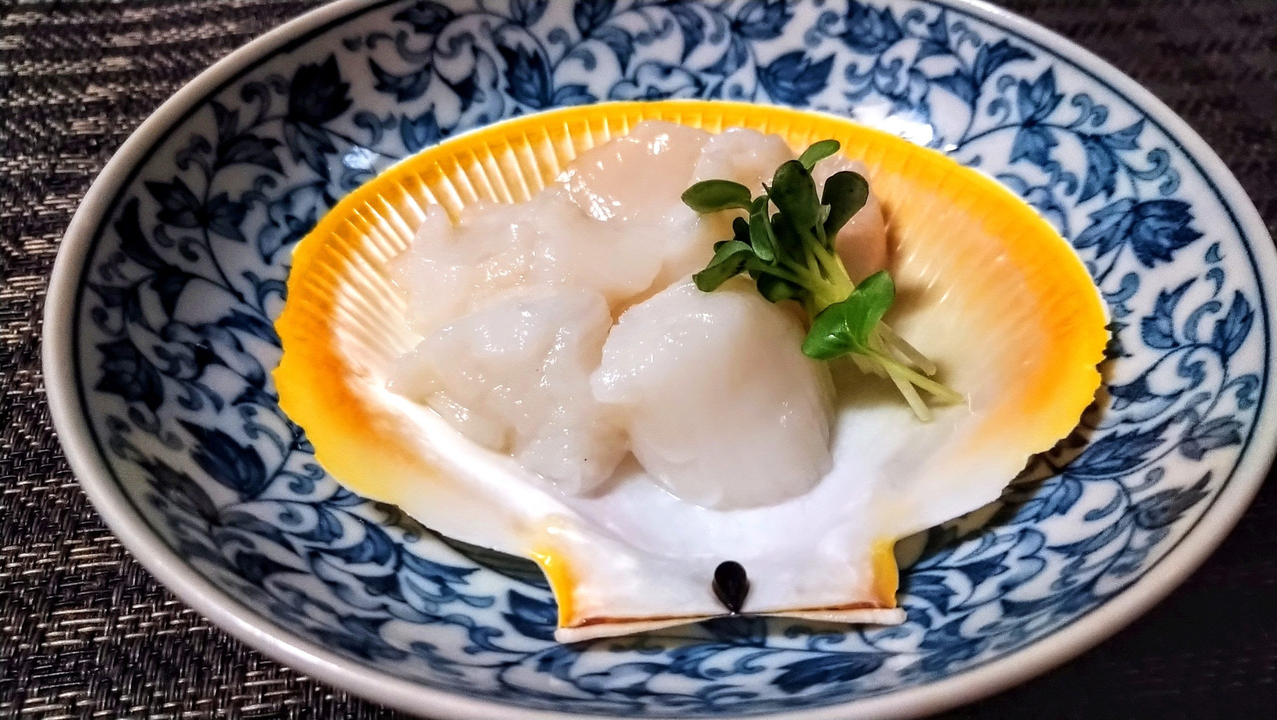 満月と月日貝 蝶に魅せられた旅人