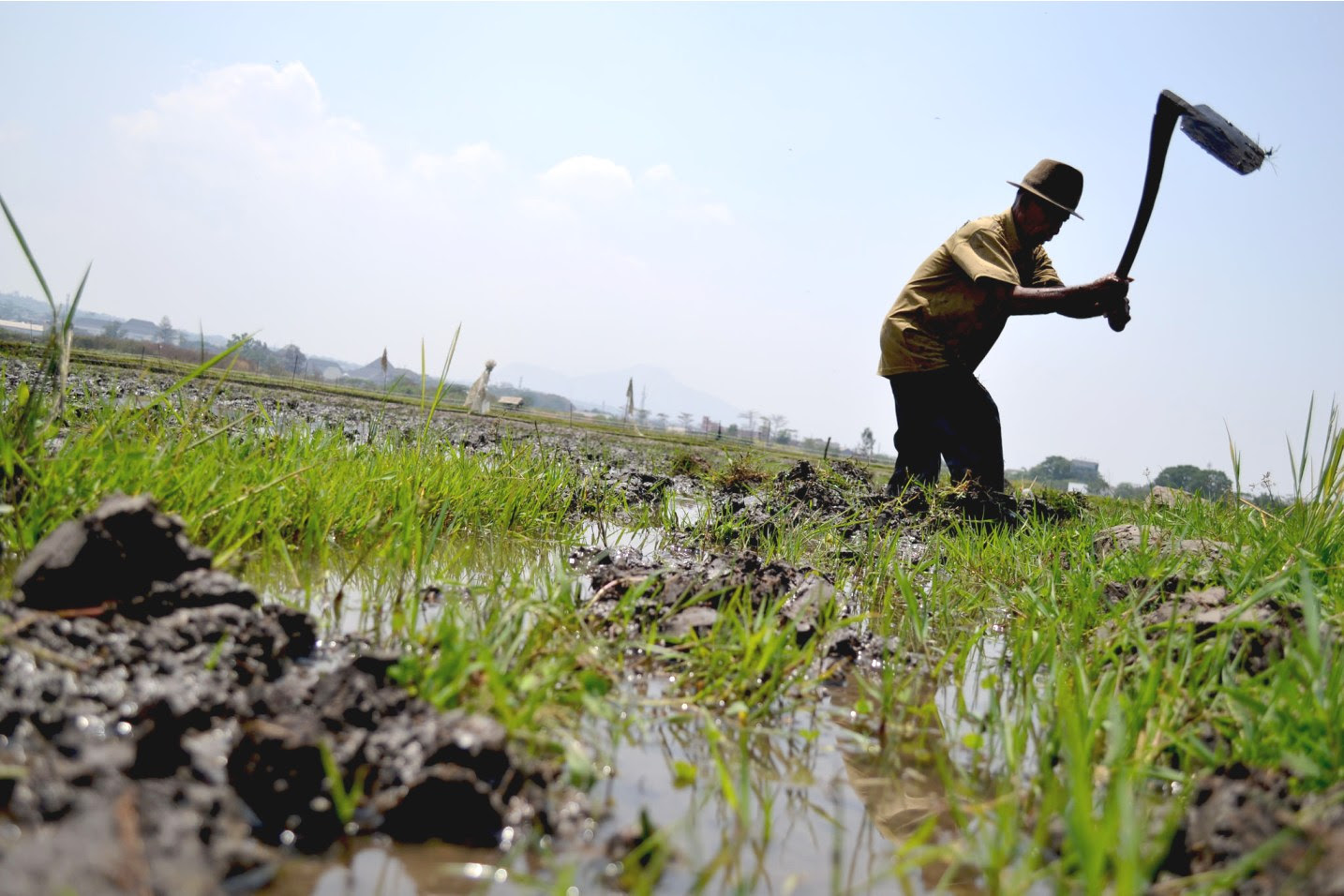 Beginillah Kondisi Sektor Pertanian  Di Jabar Mongabay co id