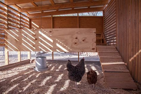 modern chicken coop plans    walk  chicken coop