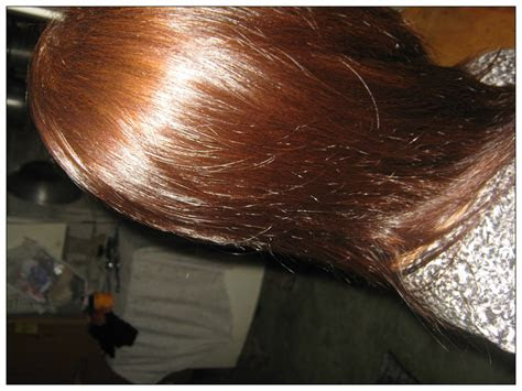  prettythrifty bremod hair color result