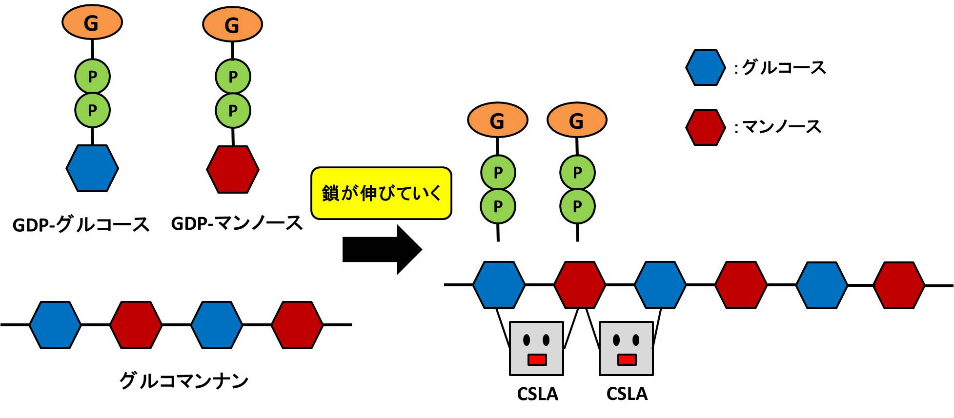 Homepage2