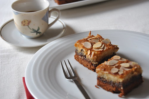Chocolate and Raspberry Jam Squares