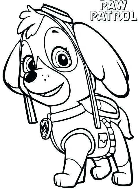 Paw Patrol Drawing | Free download on ClipArtMag