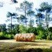 Le Tronc Creux Shelters, Bruit Du Frigo, Refuge Périurbain Bordeaux, suburban refuges, tiny homes, tiny shelters, tree-like homes, cylindrical tiny houses, Bordeaux architecture, French architects