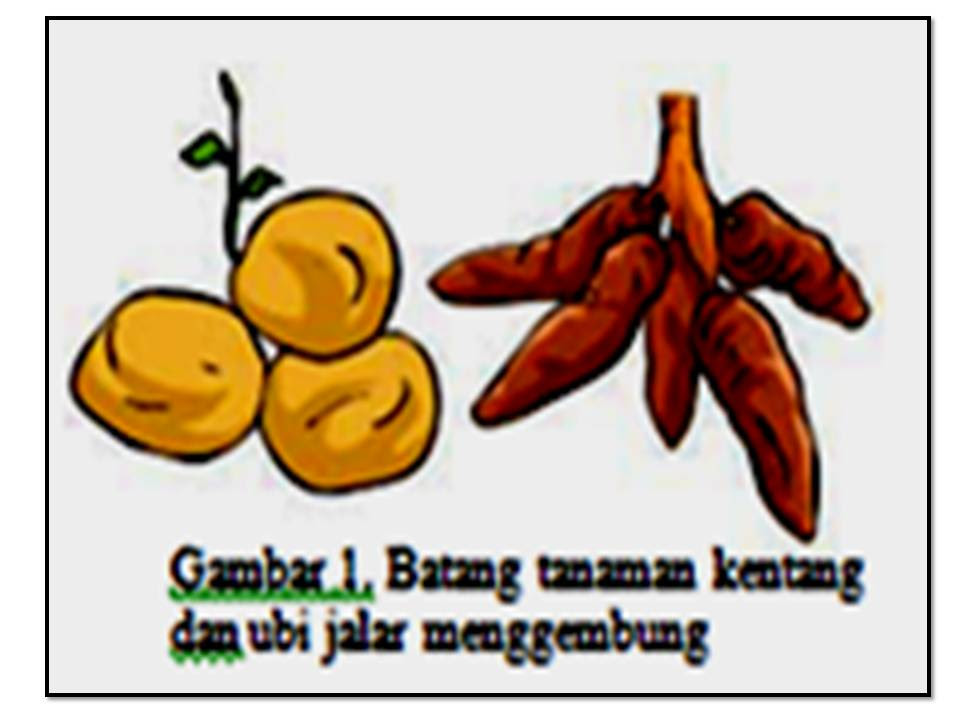 301 Moved Permanently