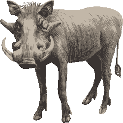 リアルタッチイボイノシシ No 137 リアルいぼいのししのイラスト アイコン 条件付フリー素材集 スマホなど携帯電話対応