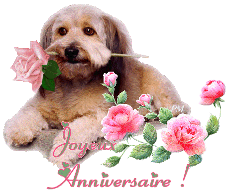 Joyeux Anniversaire Avec Que Des Chiens