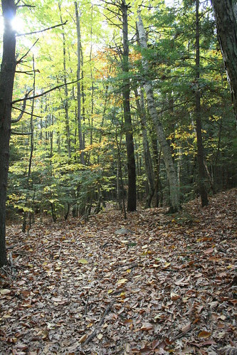Where is the Trail?