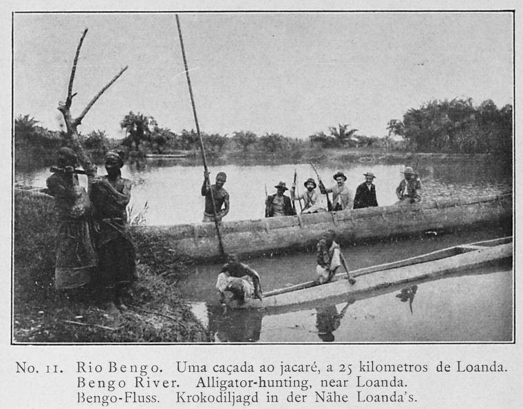 Rio 
Bengo. Uma caçada ao jacaré, a 25 kilometros de Loanda. -- Bengo River. 
Alligator-hunting, near Loanda. -- Bengo-Fluss. Krokodiljagd in der Nähe
 Loanda's.