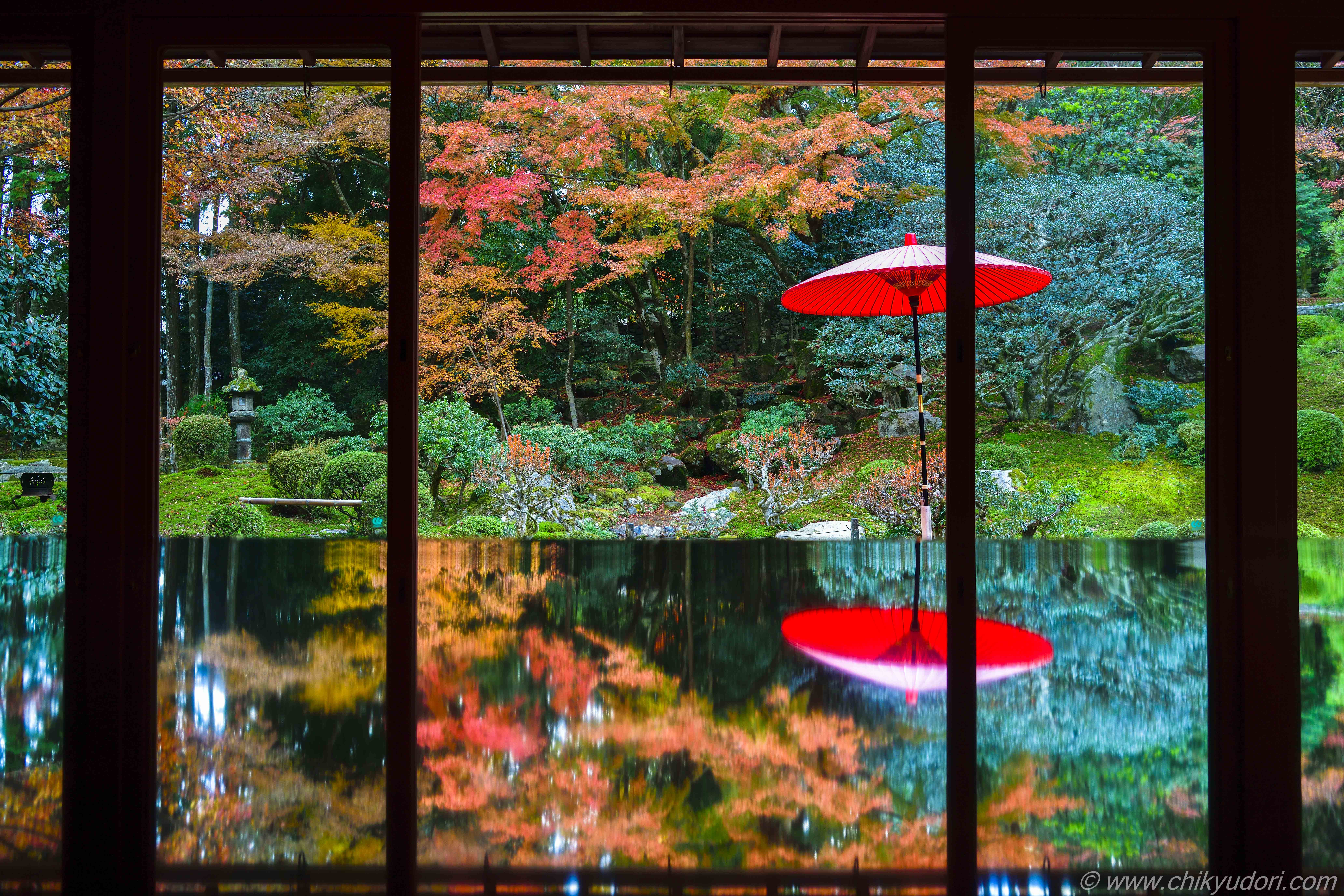 滋賀の紅葉の名勝 旧竹林院の庭園とリフレクション Nikon D850 地球の撮り方