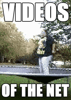 CHECK OUT MORE VIDEOS OF THE NET
