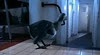 024 Dodo