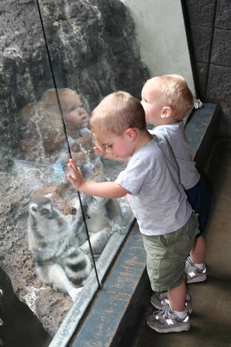Sunday Evening Zoo Trip