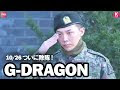 【人気ダウンロード！】 ビック バンジー ドラゴン 893601-ビックバンジードラゴン