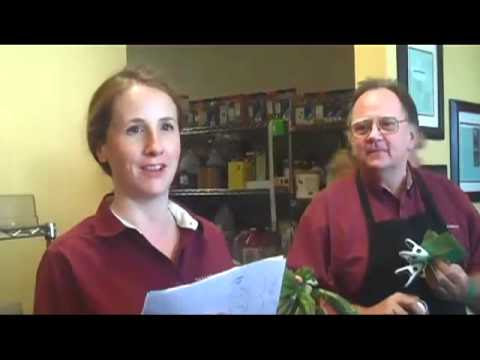 Zappos Holacracy Results; 210 Employees Accept Buyout Instead Of New ...