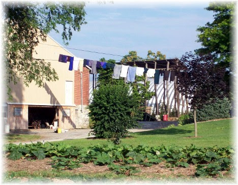 Kraybill Church Road clothesline 7/20/10