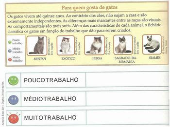 trabalho