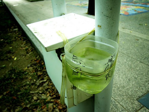 不知道這是什麼