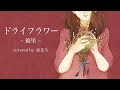 コンプリート！ ドライフラワー イラスト 歌 160848